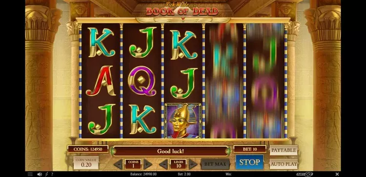 Book of Dead: ПОЛУЧИ БОНУС