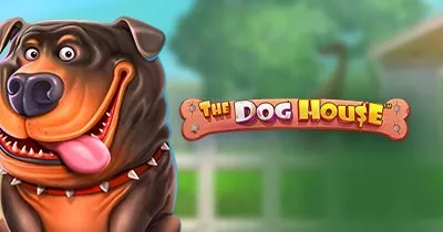 The Dog House РЕГИСТРАЦИЯ + БОНУС